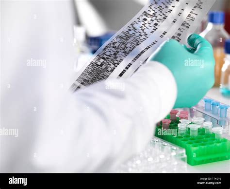 Dna Sequencing High Resolution Stock Photography And Images Alamy