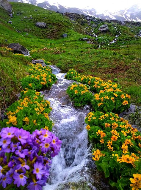Beautiful Wild Nature In Kurdistan My Beautiful Iran