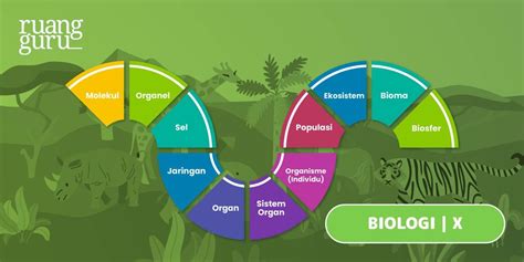 Urutan Tingkat Organisasi Kehidupan Makhluk Hidup Biologi Kelas Belajar Gratis Di Rumah