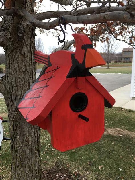Cardinal Bird House Plans Do It Yourself Bird House Plans