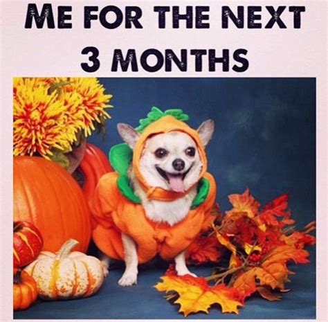 Fall Memes For 2017 That Will Get You In The Pumpkin Spice Latte