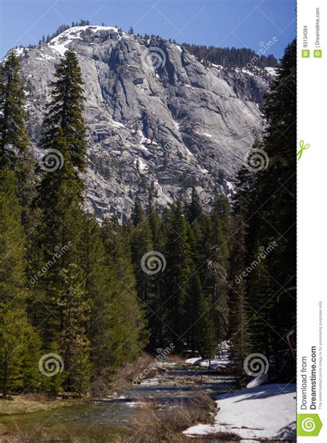 Sequoia National Park Kaweah River Stock Photo Image Of Forest