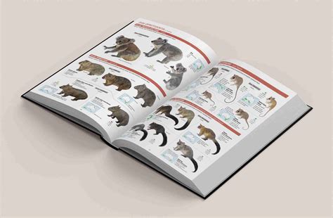 All The Mammals Of The World Lynx Nature Books