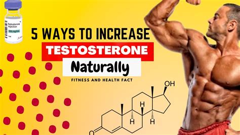 5 Way To Increase Testosterone Naturally Boost Testosterone Fitness And Health Facts Youtube