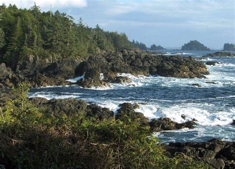 Pacific Rim National Park All You Need To Know Before You Go With