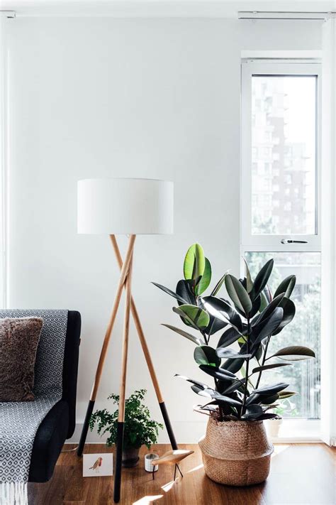 Instead, consider these unique ways to decorate with plants. Indoor House Plants: The Ultimate Guide | NONAGON.style