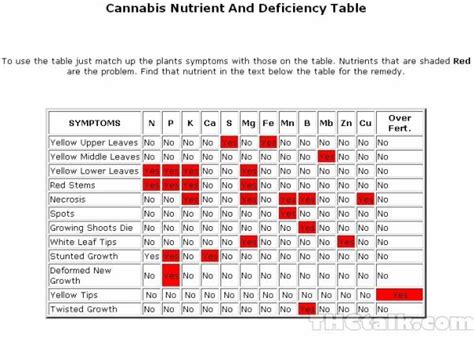 What is the best nutrient for marijuana? Magnesium deficiency