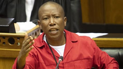 Julius malema, less anc firebrand, more placid farmer. 9 Quotes by Julius Malema that can change South Africa's political equation - Motivation Africa
