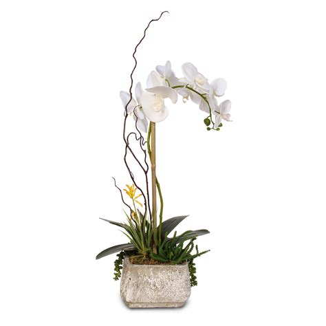 Real Touch Phalaenopsis Silk Orchid With Succulents In A Cement Pot 2