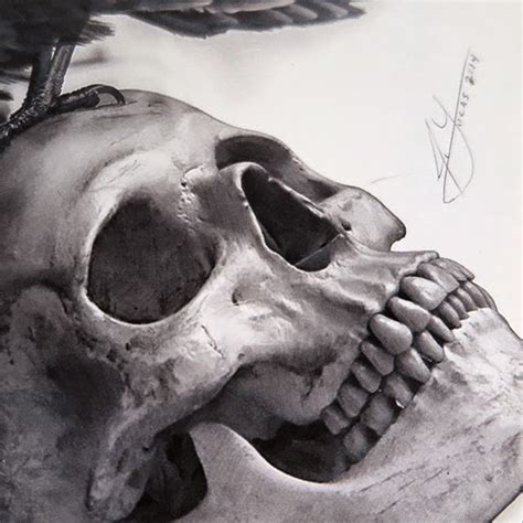 Realistic Skull Drawing At Explore Collection Of