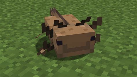 Derp Axolotls Minecraft Texture Pack