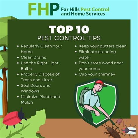 Top 10 Pest Control Tips And Tricks To Keep Pests Away Far Hills Pest