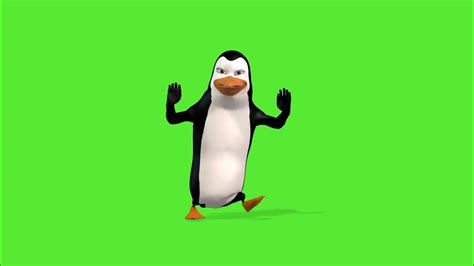 Cartoon Green Screen To Dance Penguin Funny Bird Dancing Chroma Key