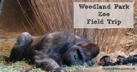 Monroe Reptile Zoo Field Trip ~ The Organized Homeschooler