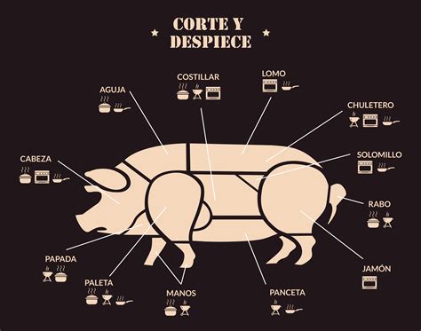 Despiece Carne De Cerdo Sus Características Y Sus Cortes Tacisa