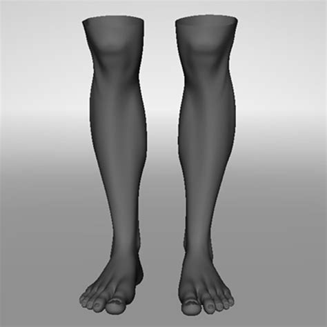 Realistic Human Legs D Max