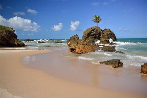 Premium Photo Tambaba Beach Conde Near Joao Pessoa Paraiba Brazil On September