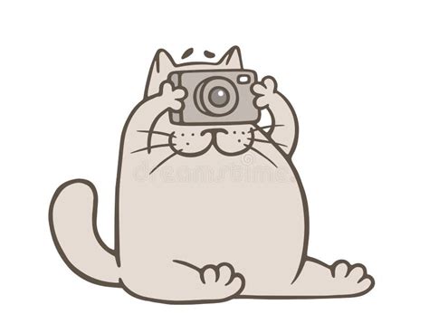 Cute Gray Cat With Camera Vector Illustration Stock Vector
