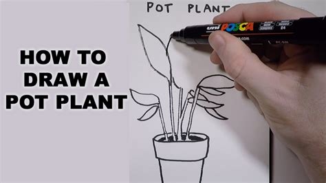 How To Draw A Pot Plant Youtube