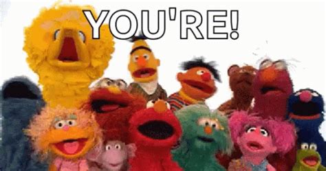 Youre Sesame Street GIF Youre Your Sesame Street Discover Share GIFs