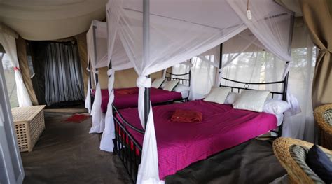 Serengeti Wildebeest Camp Rooms