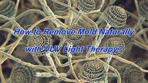 How To Remove Mold Naturally With Vuv Light Therapy Youtube