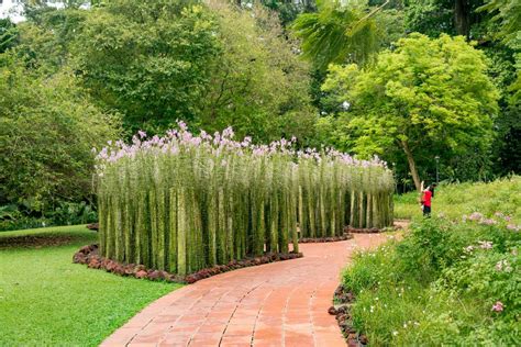 Singapore Botanic Gardens On Unescos World Heritage List