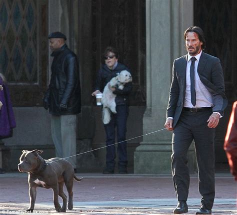 Keanu Reeves Is Back With His Pit Bull In John Wick 2 Itechbahrain