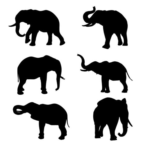 Elephants Vectors Photos And Psd Files Free Download