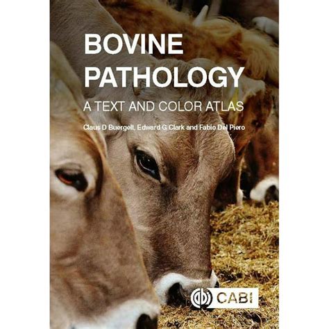 Bovine Pathology A Text And Color Atlas Hardcover