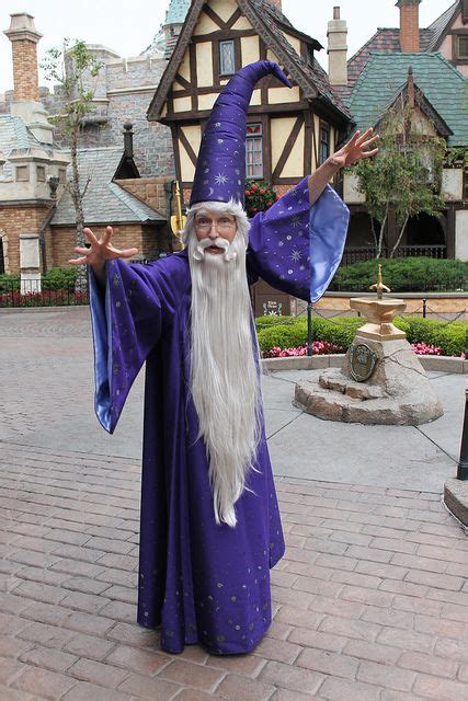 Merlin Disney Cosplay Disney World Secrets Halloween Costumes For Kids