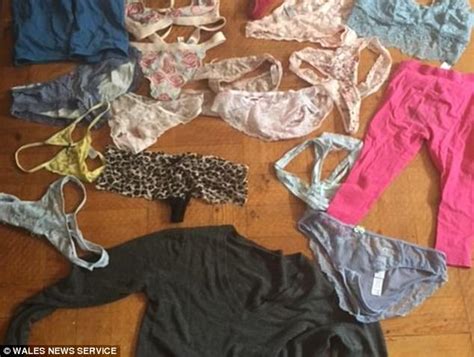 Feisty Cat Filmed Stealing Knickers From Neighbours Line Daily Mail