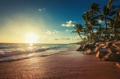 72461 Tropical Paradise Sunrise Landscape Photos Free And Royalty Free