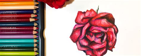 Rose Drawing How To Use Colored Pencils To Draw A Rose That Art Teacher