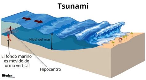 tsunami qué es características causas consecuencias ejemplos