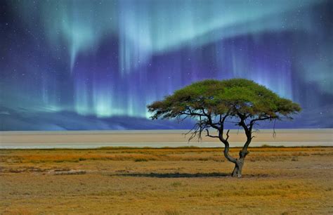 The Etosha Pan With A Composite Of The Northern Lights And A Solitary