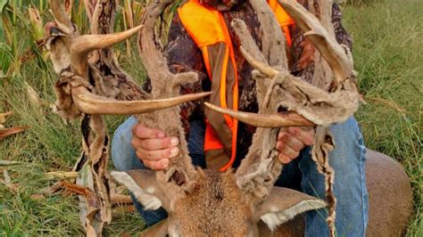 230 Inch Monster Buck Falls To Kansas Youth Hunter