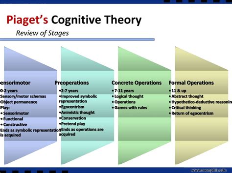 Jean Piaget 039 S Stages Of Cognitive Development Chart Sample