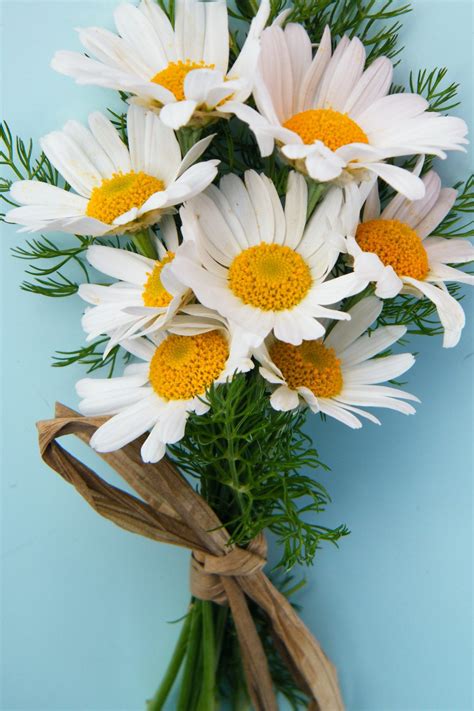 Everything is fine in tea drinking at the table, decorated with beautiful bouquets of flowers. Air drying a daisy bunch | Dried Flower Craft