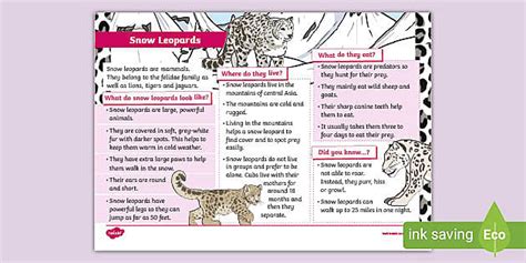 Ks1 Snow Leopard Fact File Animals Teacher Made Twinkl