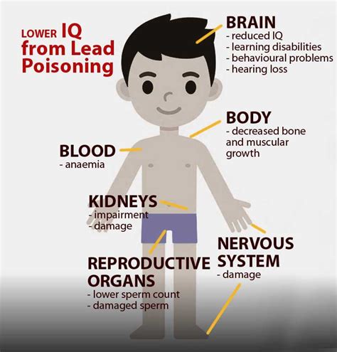 Health Effects Of Lead Poisoning On Children Consumers Association Penang