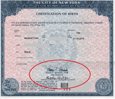 Nyc Birth Certificate With Two Signatures Steven P Schwartz And