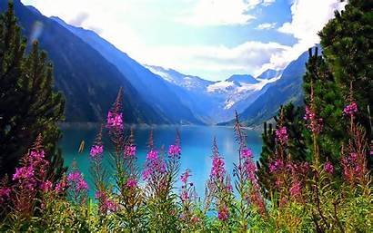 Flowers Mountain Nature Lake Wallpapers Landscape Mountains