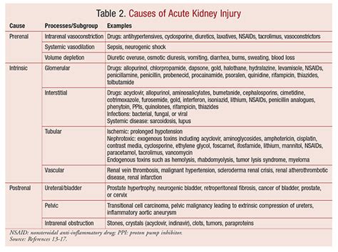 Acute Kidney Injury An Overview