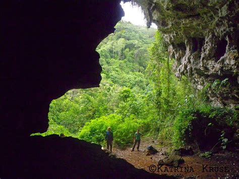 The Kruse Chronicles Continue In Cocoa Florida Cuevas En El Bosque De