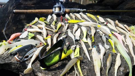 257 Best Fishing Equipments images | Fishing equipment, Fish, Fishing tips