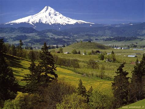 Travel Trip Journey Mount Hood Oregon Usa