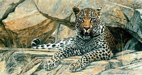 Johan Hoekstra Johan Hoekstra Art Pinterest Wildlife Paintings