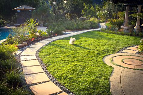 Drought Tolerant Dog Friendly Ground Cover Back Yard Contemporary