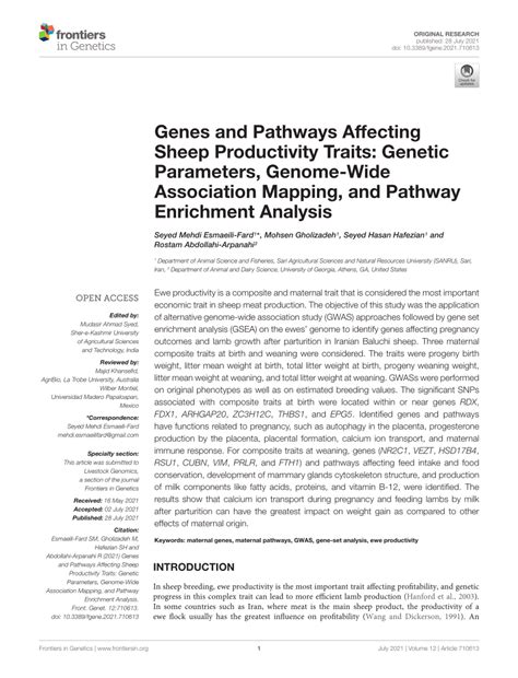 Pdf Genes And Pathways Affecting Sheep Productivity Traits Genetic